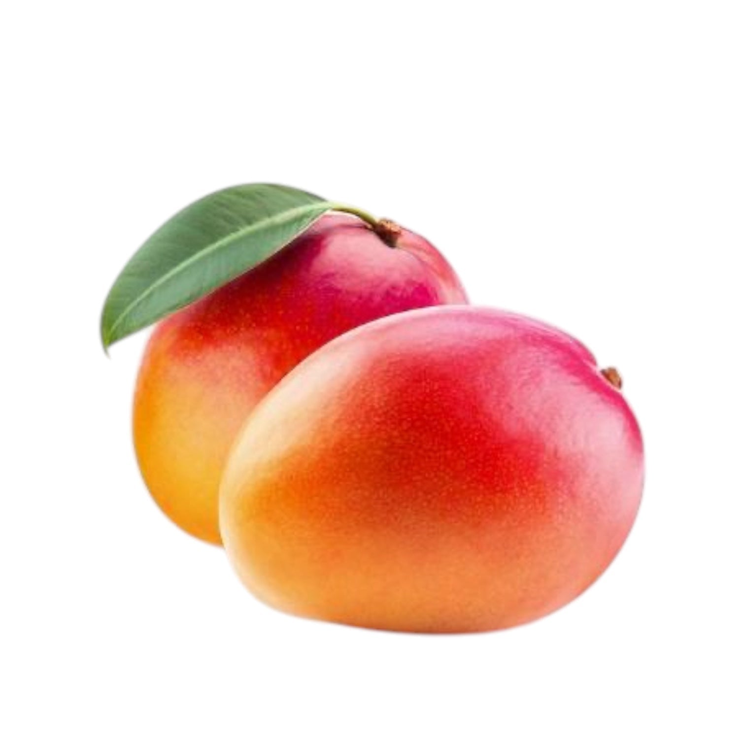 Haden Mango Ripe 1 Ct